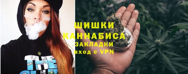 дмт Арсеньев