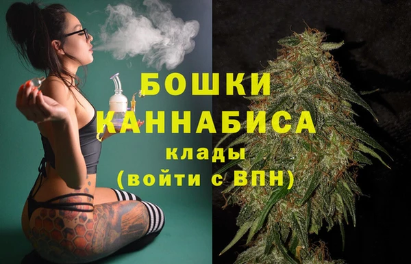 бошки Аркадак