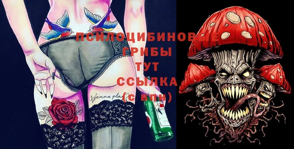 дмт Арсеньев