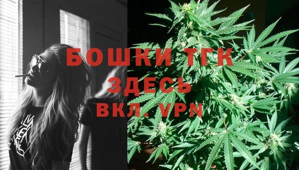 дмт Арсеньев