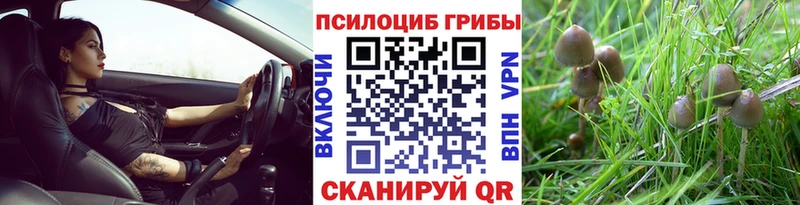 Галлюциногенные грибы прущие грибы  Велиж 
